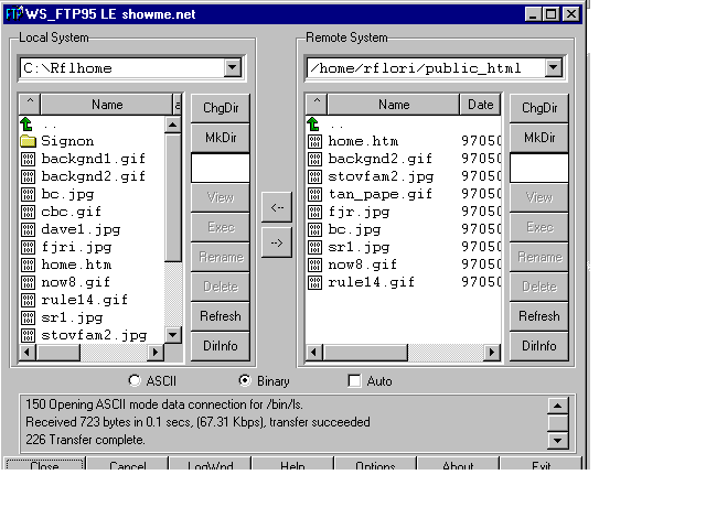 ftp2.gif (16815 bytes)