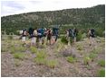Hiking