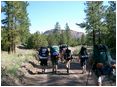 Hiking the road