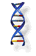 DNA strand