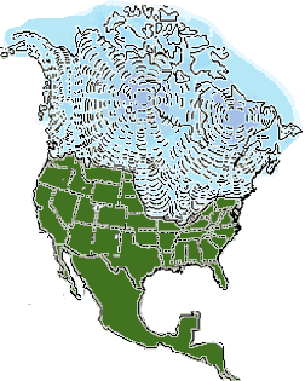 Michigan Fault Line