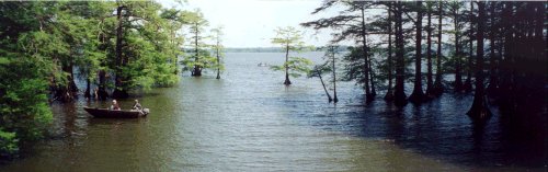 Reelfoot Lake - Chamber of Commerce